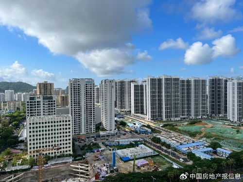 海南房地產(chǎn)十年風(fēng)云錄 那些跌倒與站立的房企群像
